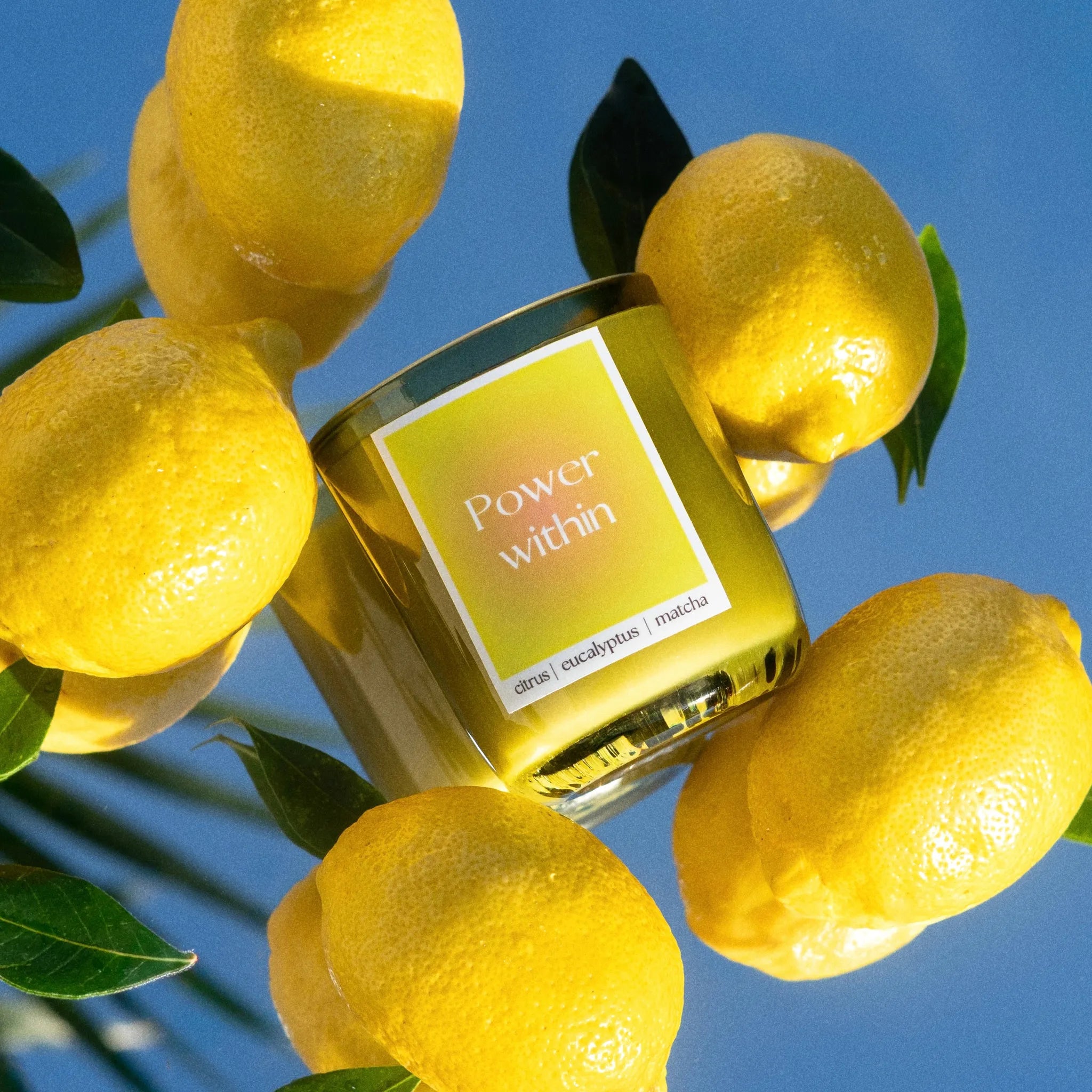 power within candle, matcha candle, citrus candle, eucalyptus candle, cute gift idea, luxury candle, luxury non-toxic candle, coconut soy wax candle, hidden message candle, world of within